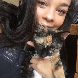 Meet your Posher, Tiffany